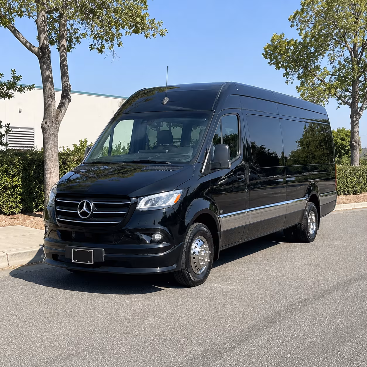 20 passenger sprinter van