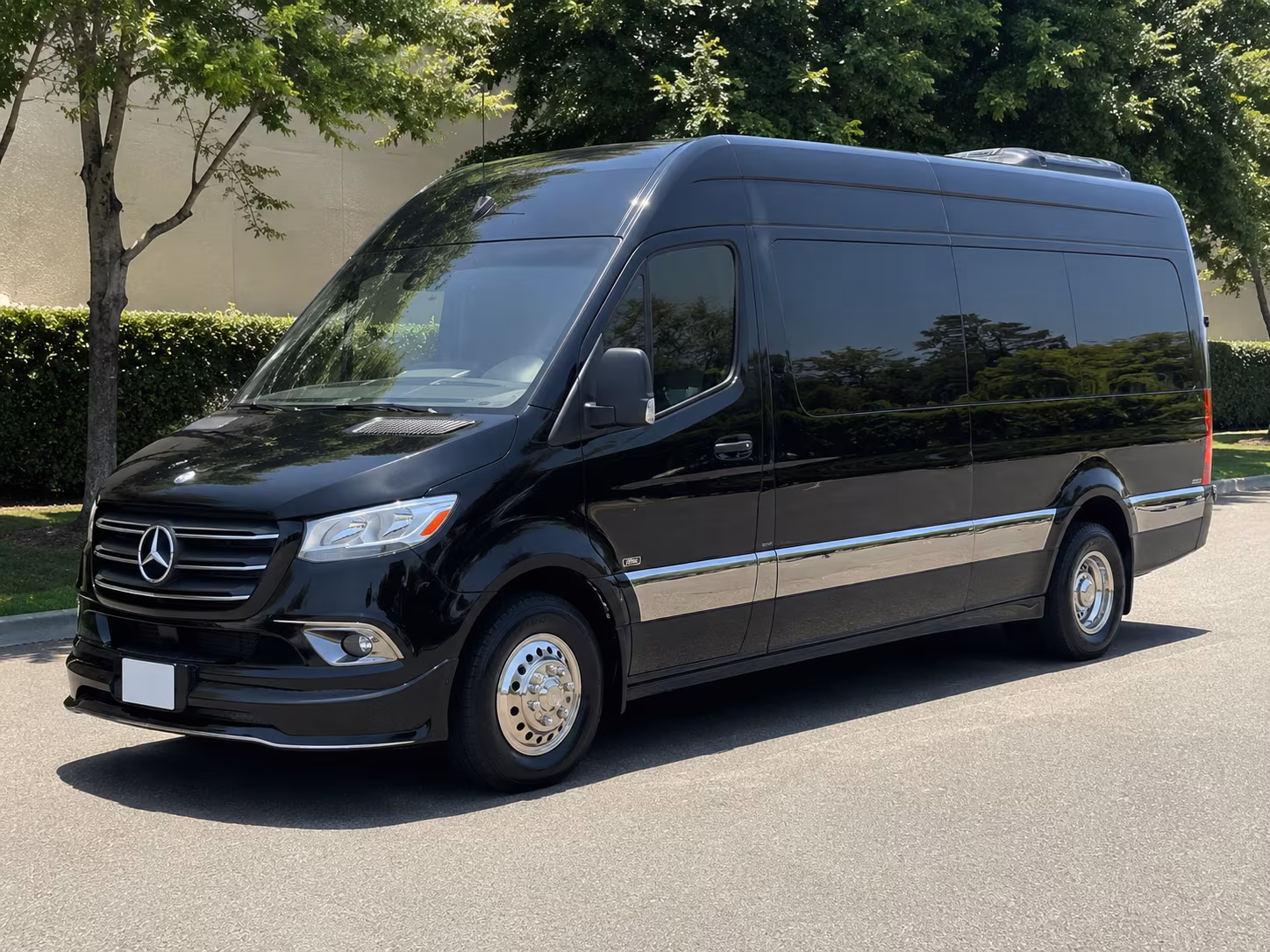 bachelor and bachelorette party sprinter van rentals in olathe kansas